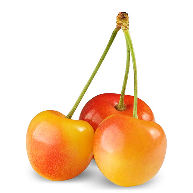 rainier cherry