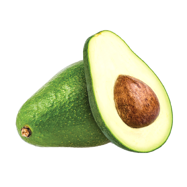 shepard avocado