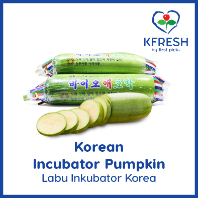 kfresh product-incubator pumpkin